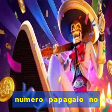 numero papagaio no jogo do bicho